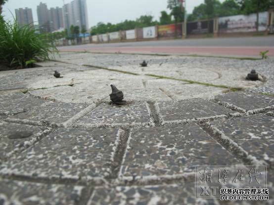 f: IMG_3376.JPG